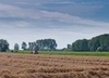 Bij verantwoording boekwinst na 2001 geldt nieuwe landbouwvrijstelling