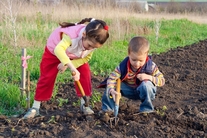 Geen toepassing oude landbouwvrijstelling